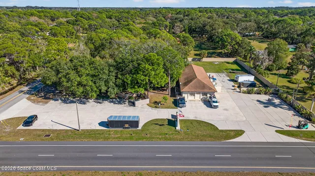 a view of small yard with plants