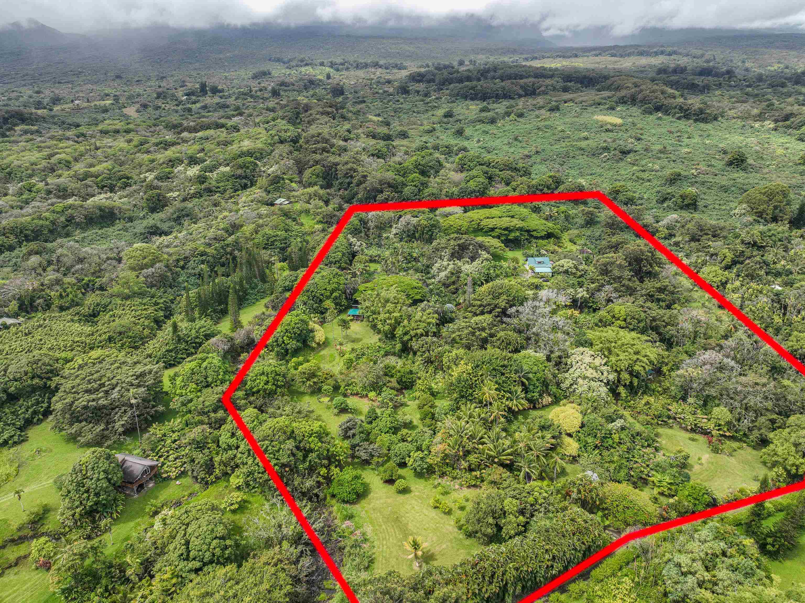 1600 Lower Nahiku Road Hana, HI 96713 - Photo 23 of 23