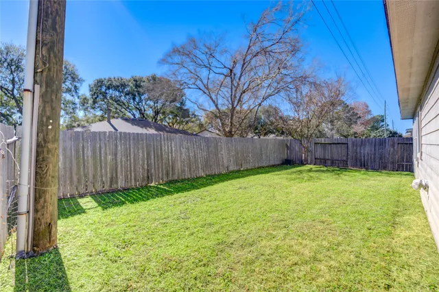 a view of a backyard with large tree and wooden fence