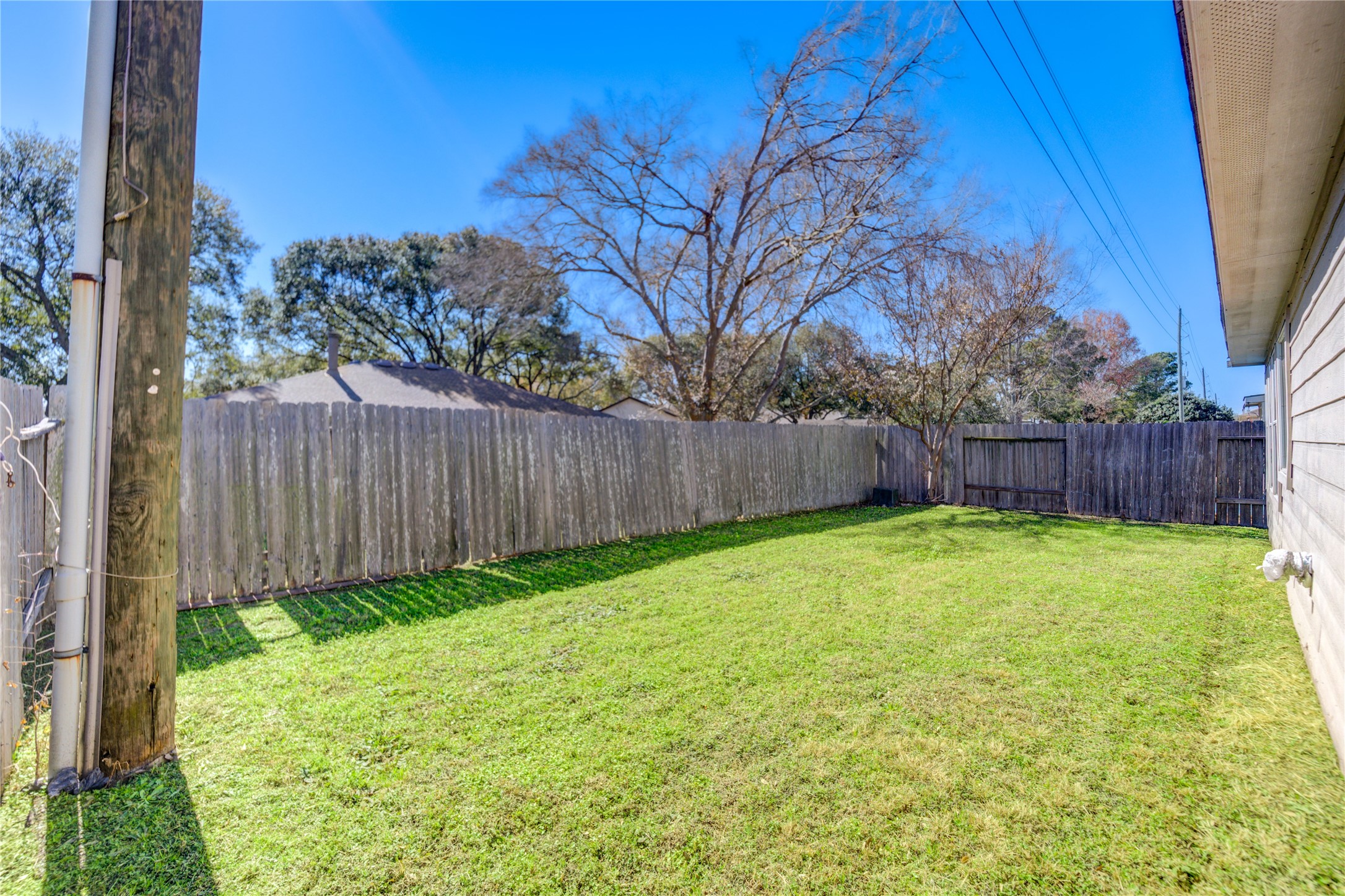 19427 Harvest Stream Way Houston, TX 77084 - Photo 38 of 38 a view of a backyard with large tree and wooden fence