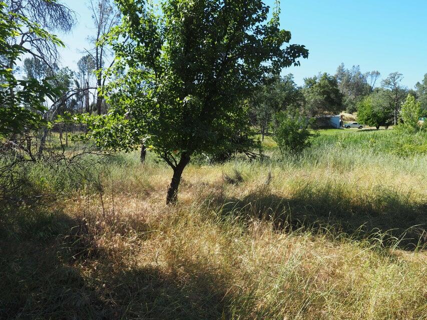 20103 Parocast Road Redding, CA 96003 - Photo 12 of 24 20260519214803435504000000-o