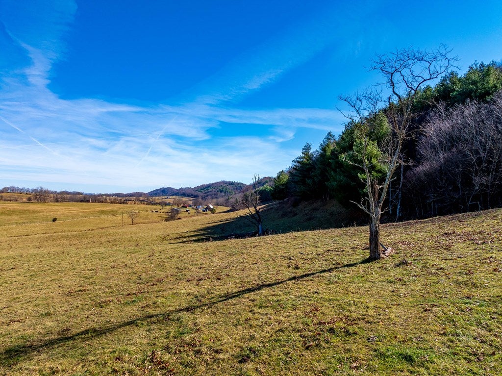 Tbd Gap Of Ridge Road Rural Retreat, VA 24368 - Photo 30 of 85 Gallery Image 30