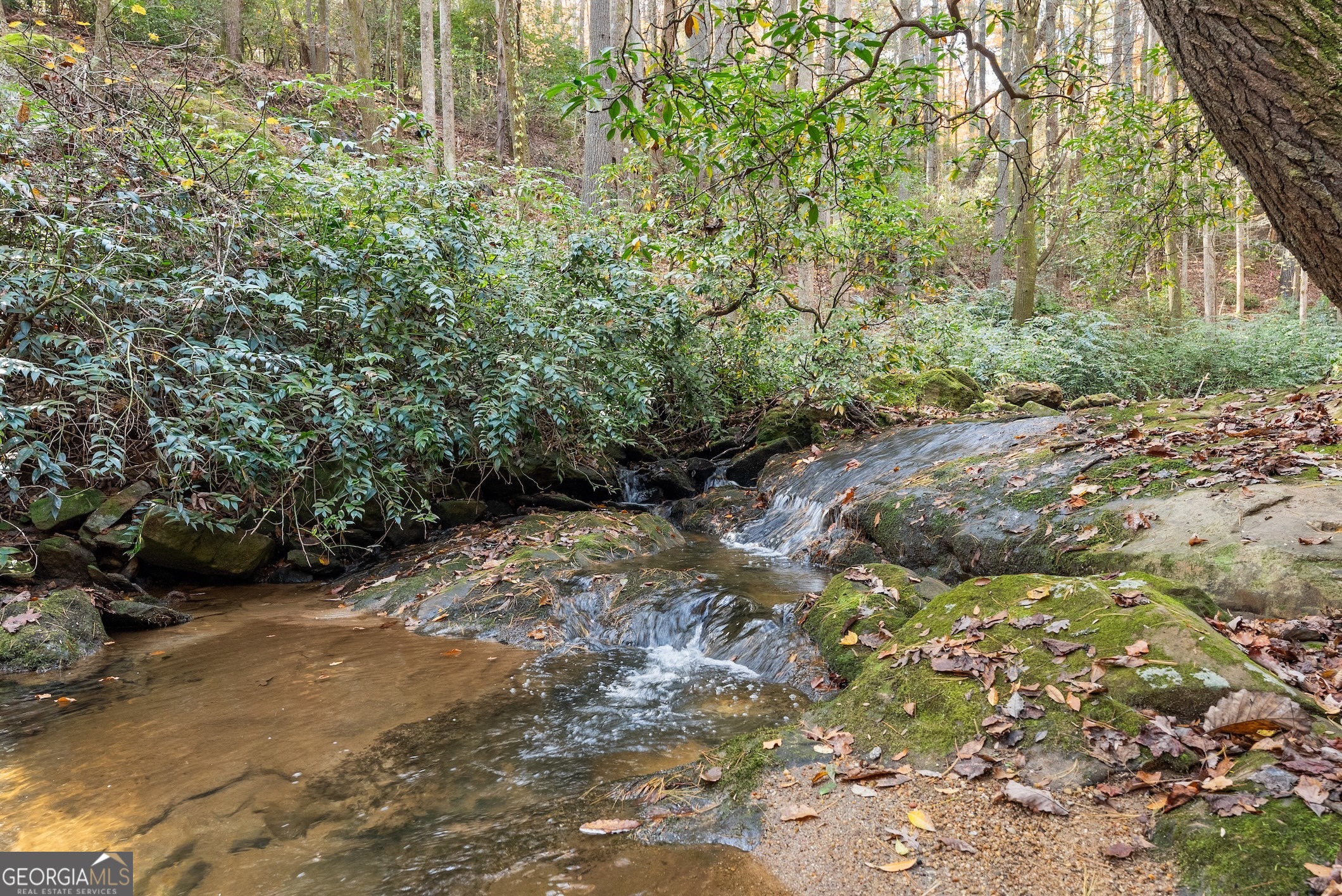 0 Stancil Dyer Road Dahlonega, GA 30533 - Photo 11 of 43 a pathway of a yard