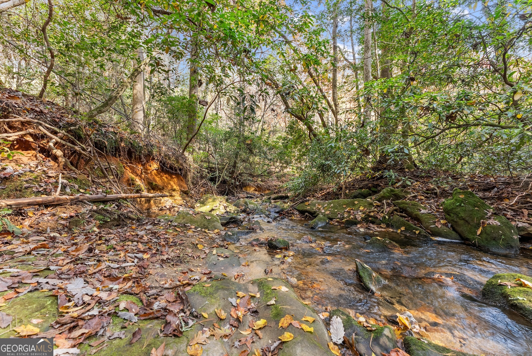 0 Stancil Dyer Road Dahlonega, GA 30533 - Photo 12 of 43 a view of a yard with a tree