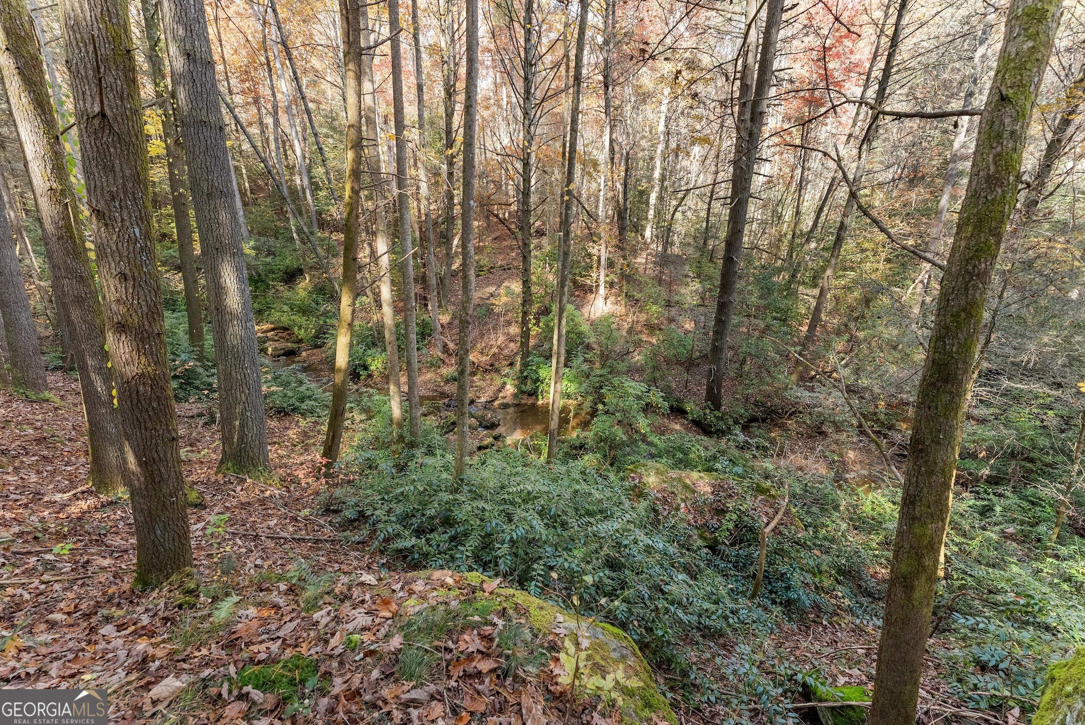 0 Stancil Dyer Road Dahlonega, GA 30533 - Photo 13 of 43 a view of a forest with trees in the background