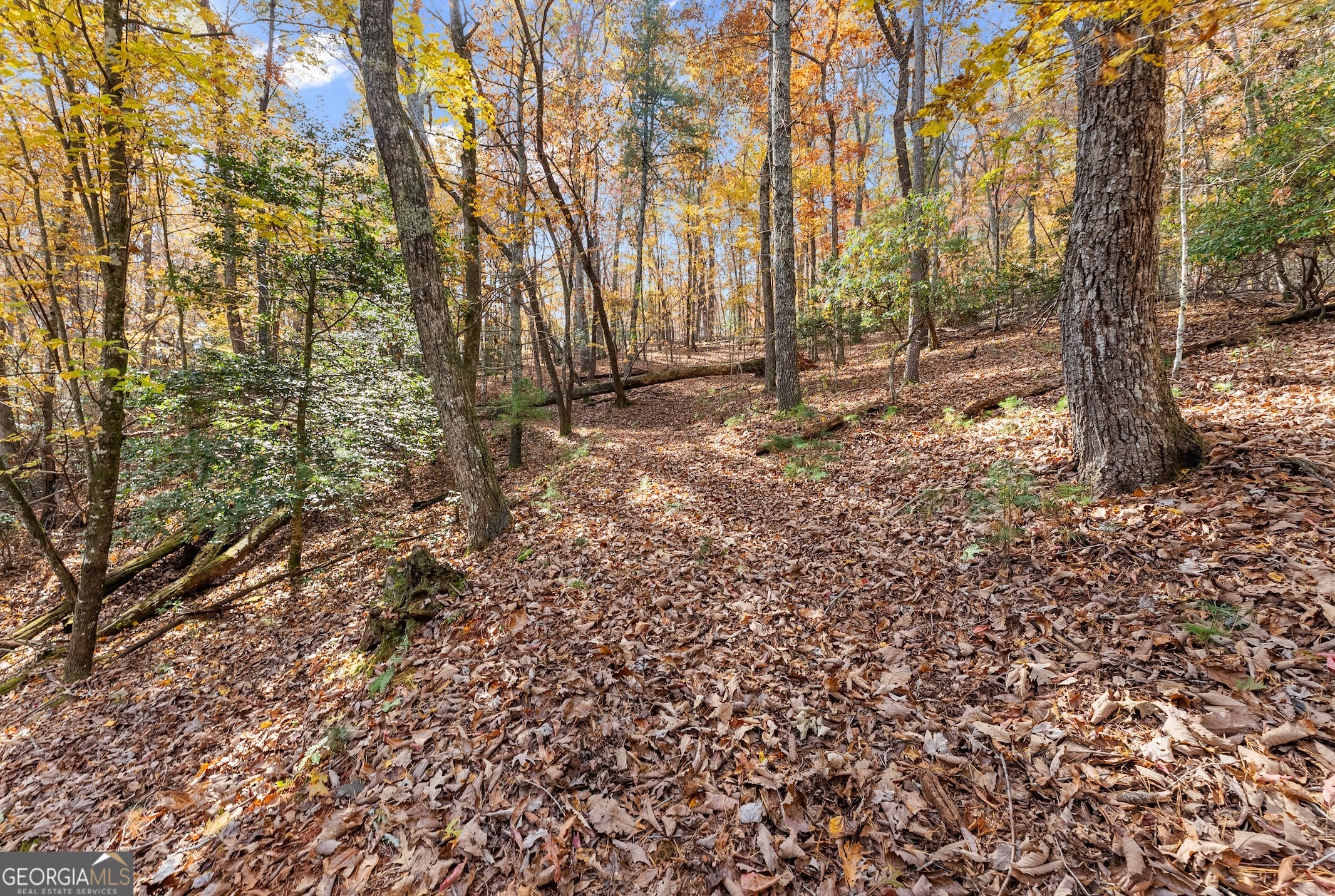 0 Stancil Dyer Road Dahlonega, GA 30533 - Photo 14 of 43 a view of covered with green space