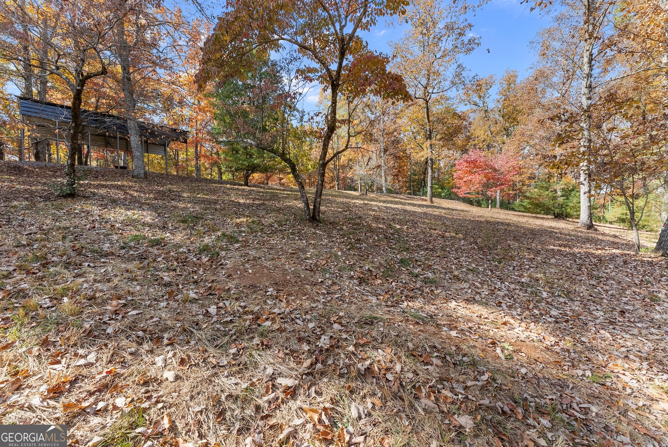 0 Stancil Dyer Road Dahlonega, GA 30533 - Photo 16 of 43 a view of outdoor space with tree s