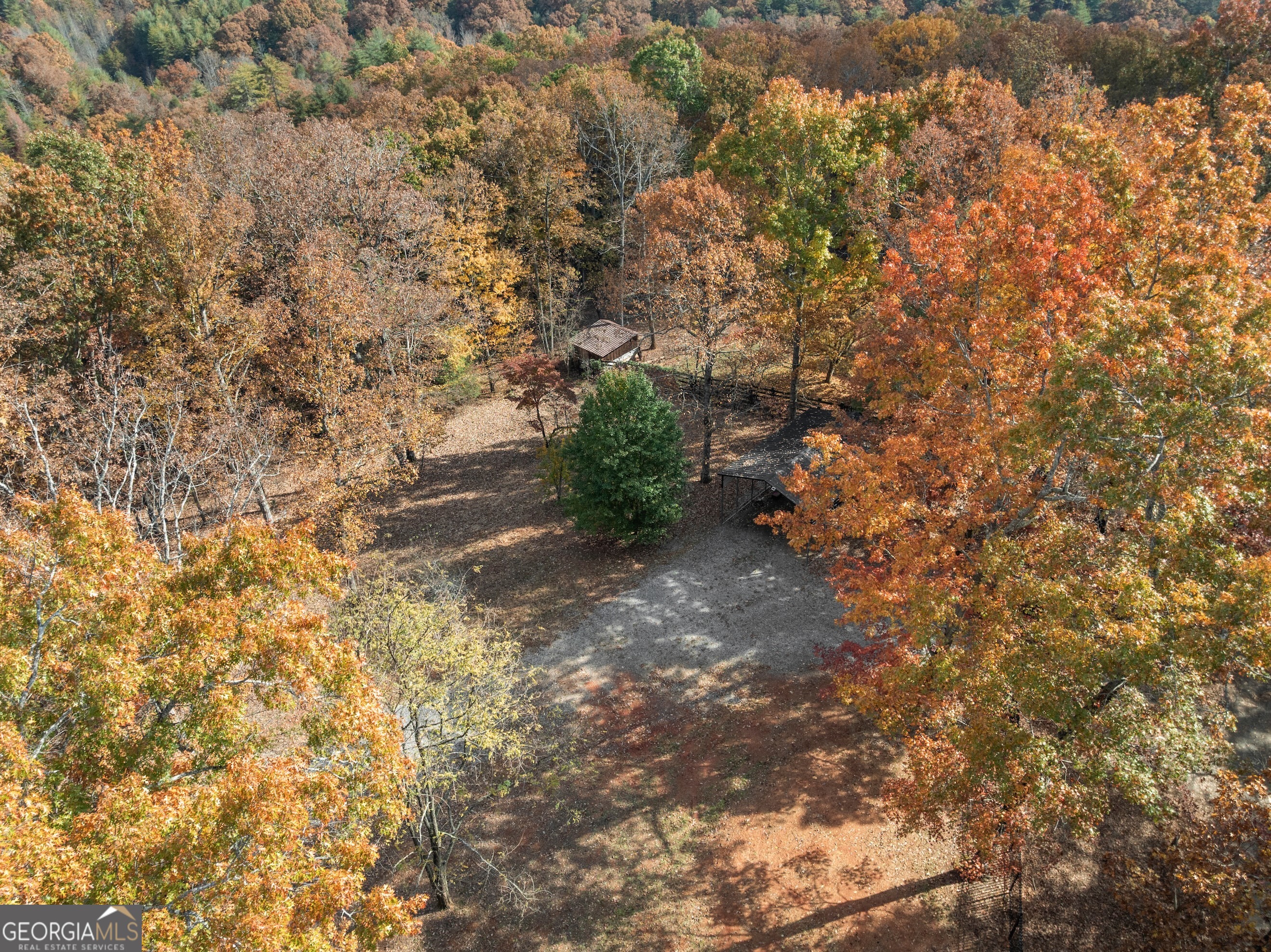 0 Stancil Dyer Road Dahlonega, GA 30533 - Photo 19 of 43 a view of a yard with plants and wooden fence