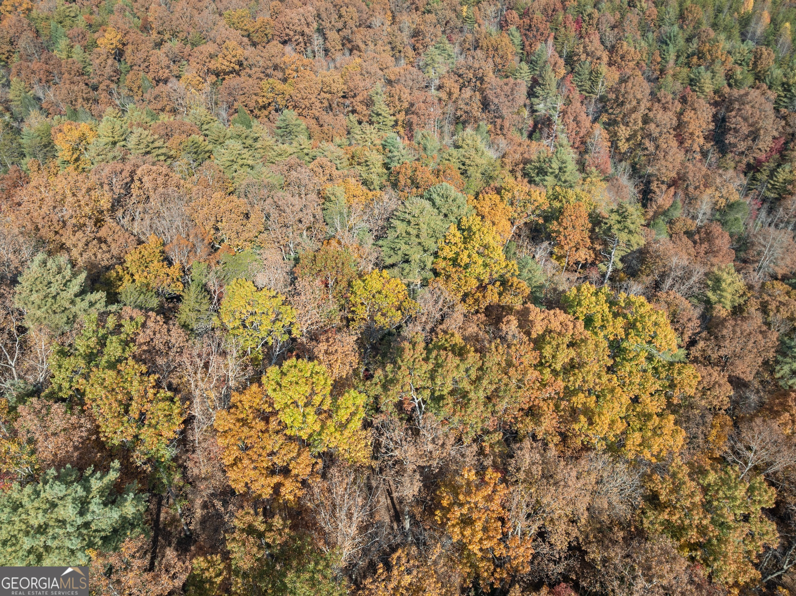 0 Stancil Dyer Road Dahlonega, GA 30533 - Photo 22 of 43