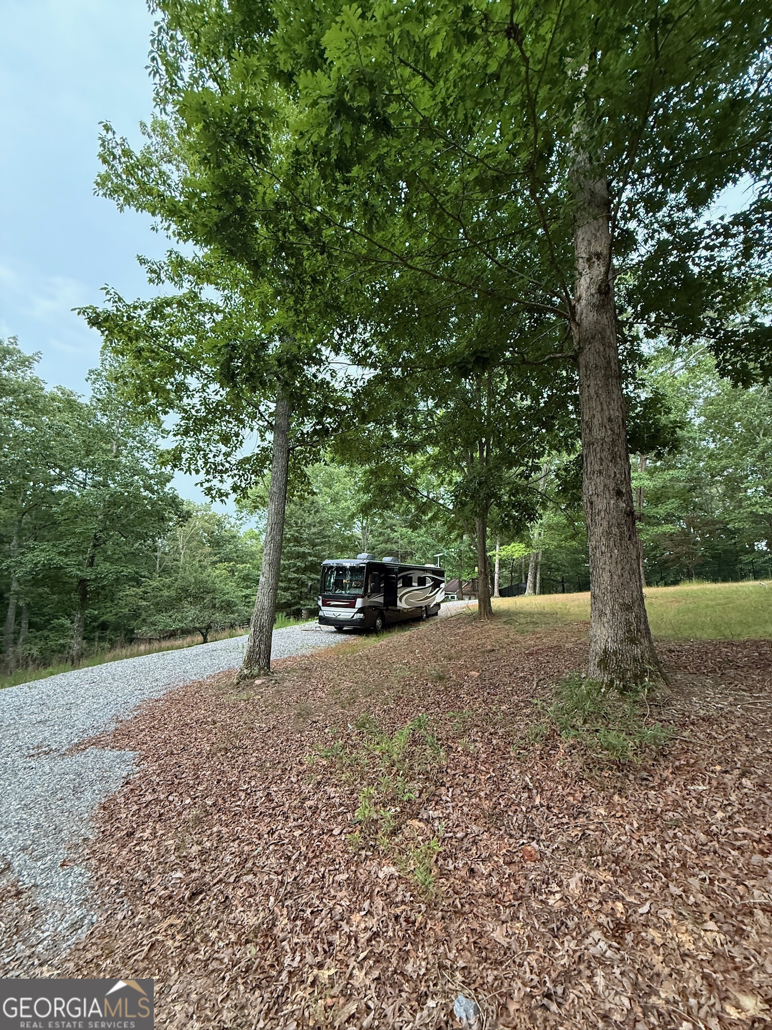 0 Stancil Dyer Road Dahlonega, GA 30533 - Photo 32 of 43 a view of a yard with a tree