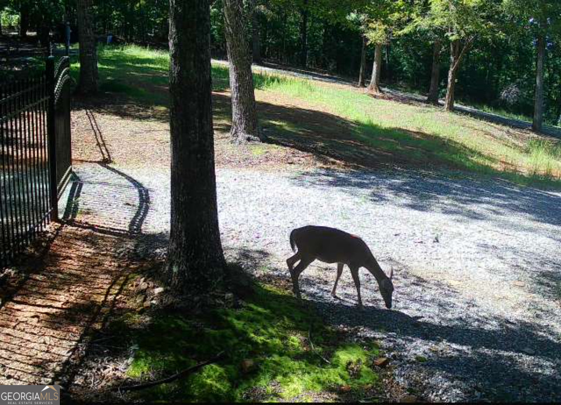 0 Stancil Dyer Road Dahlonega, GA 30533 - Photo 38 of 43 a backyard of a house with a yard and outdoor seating