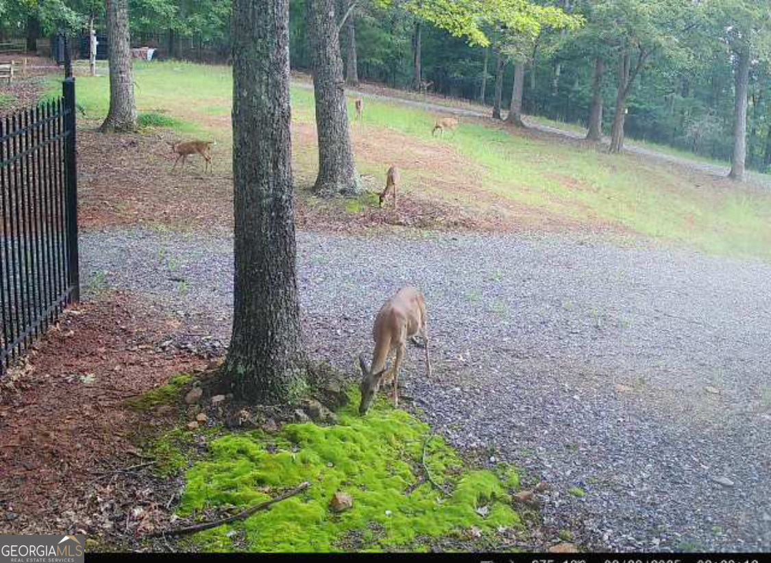 0 Stancil Dyer Road Dahlonega, GA 30533 - Photo 39 of 43 a view of a backyard with swimming pool