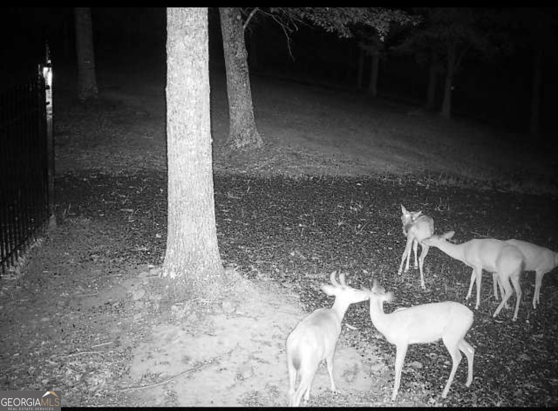 0 Stancil Dyer Road Dahlonega, GA 30533 - Photo 40 of 43 a view of a porch with a table and chairs in patio