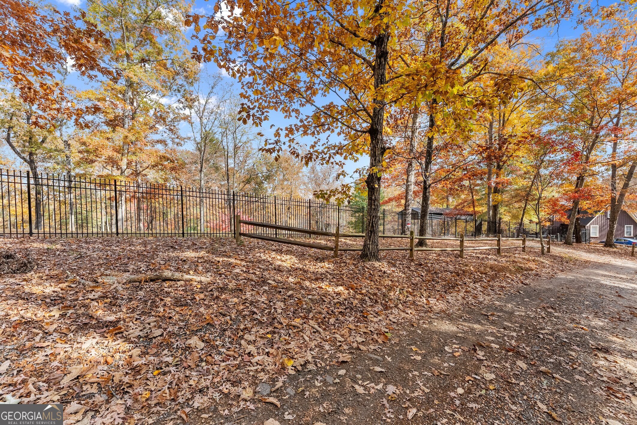 0 Stancil Dyer Road Dahlonega, GA 30533 - Photo 4 of 43 a view of yard with trees