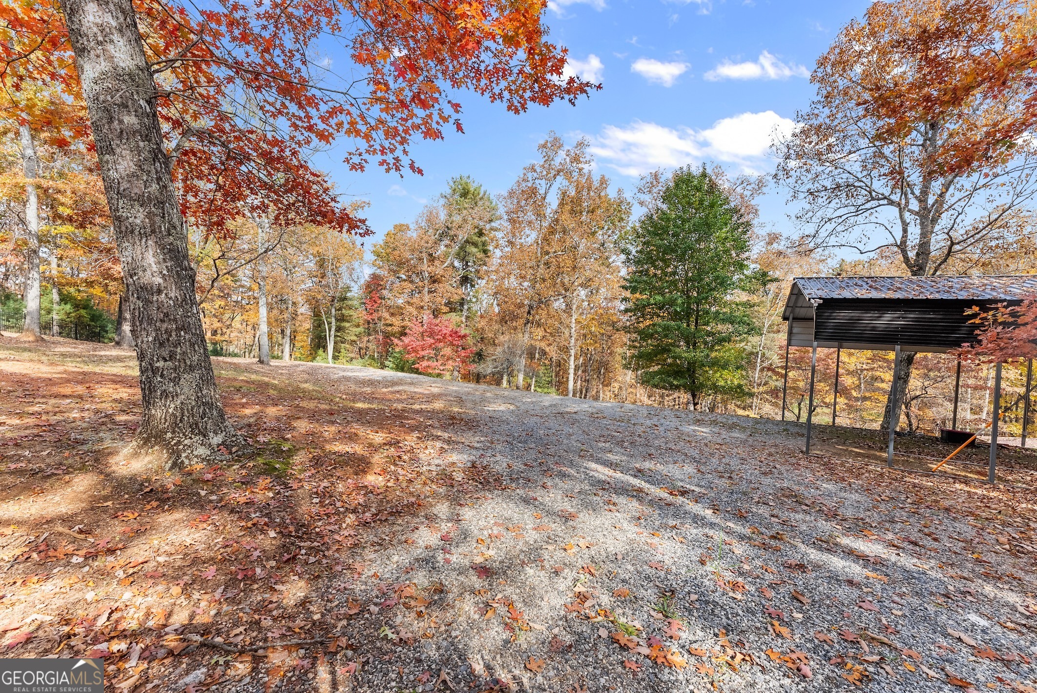 0 Stancil Dyer Road Dahlonega, GA 30533 - Photo 5 of 43 a view of a yard with a tree