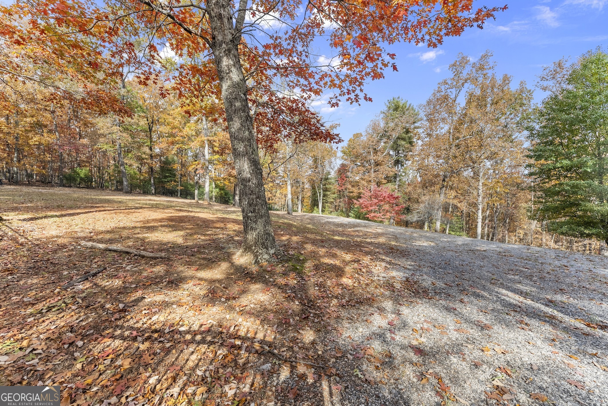 0 Stancil Dyer Road Dahlonega, GA 30533 - Photo 6 of 43 a view of dirt yard with a large tree