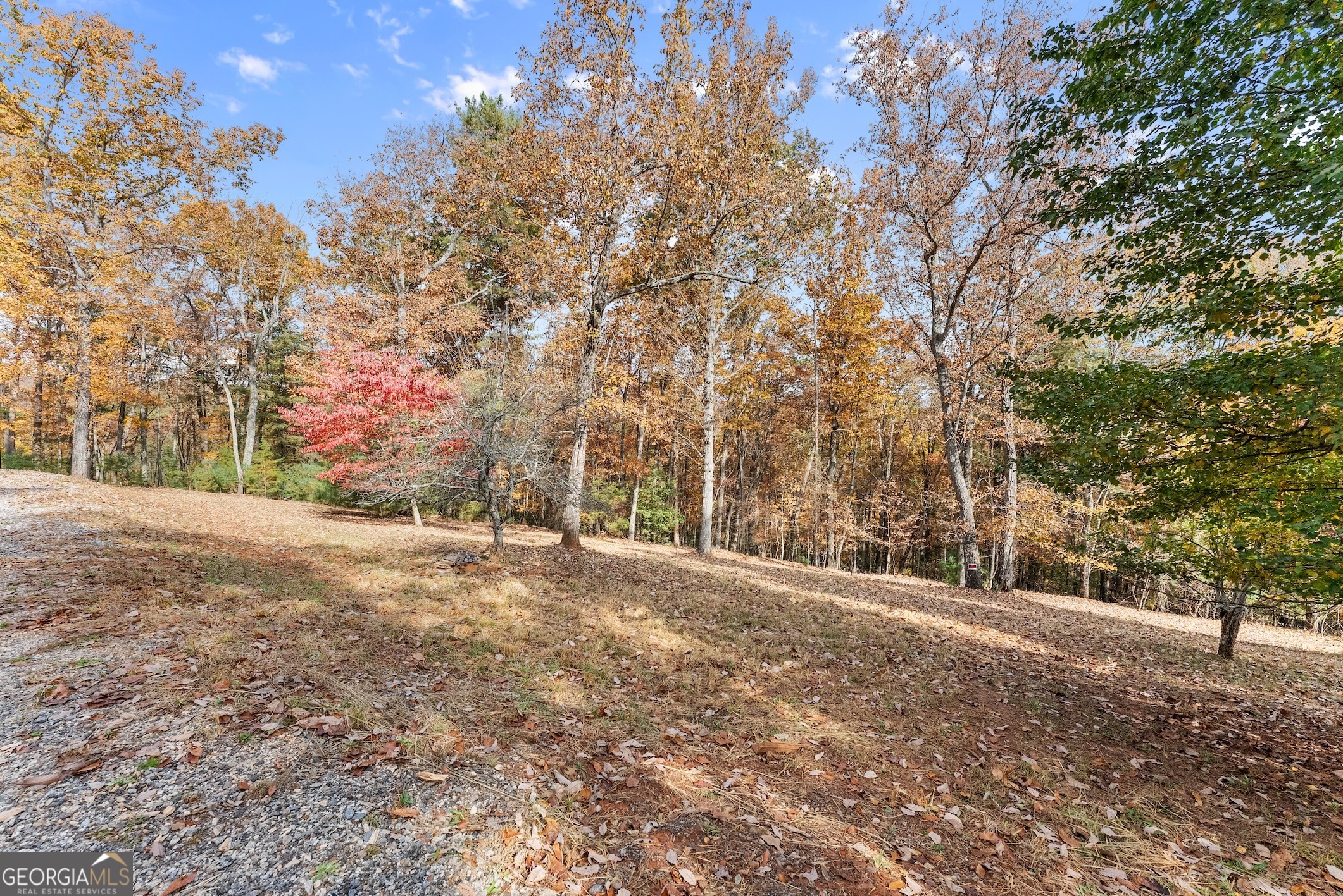 0 Stancil Dyer Road Dahlonega, GA 30533 - Photo 7 of 43 a view of large trees with a yard