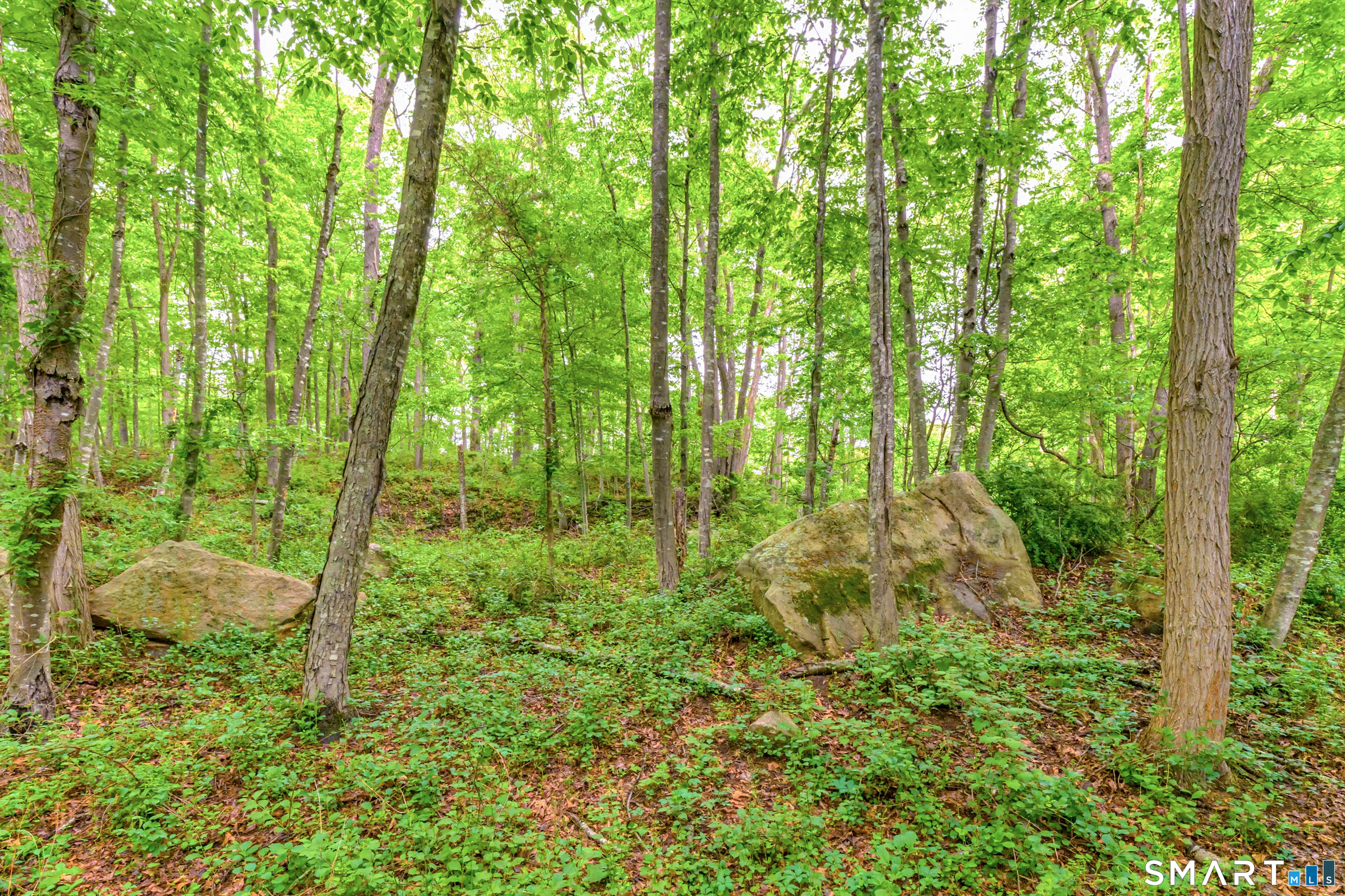 73 Long Hill Road Deep River, CT 06417 - Photo 34 of 40 Bordered By Natural Plantings, Beautiful Out-Croppings And The Mature Trees That Adorn The Property