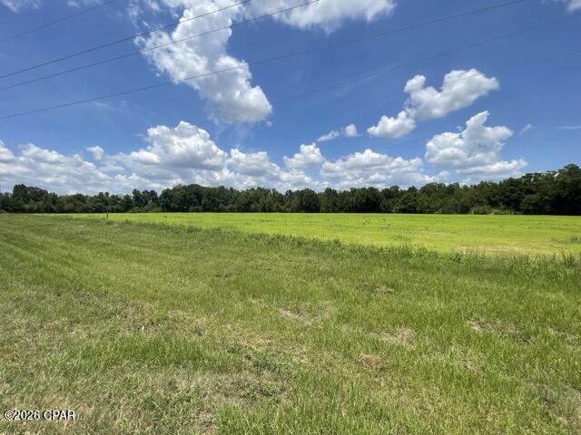 0 Peanut Road Graceville, FL 32440 - Photo 1 of 13