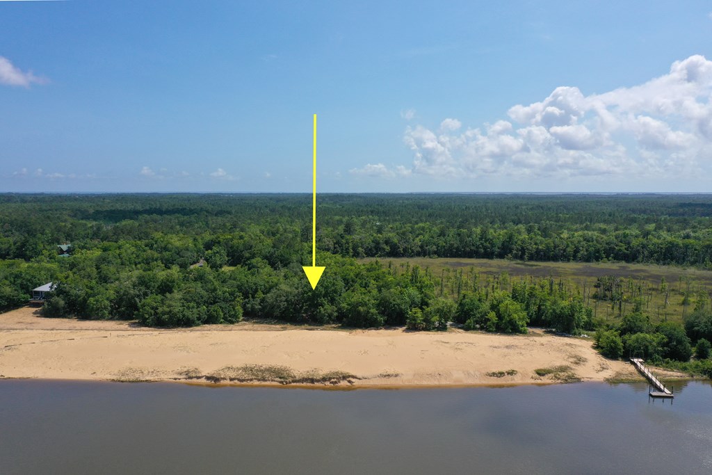 192 River Chase Road Apalachicola, FL 32320 - Photo 6 of 11