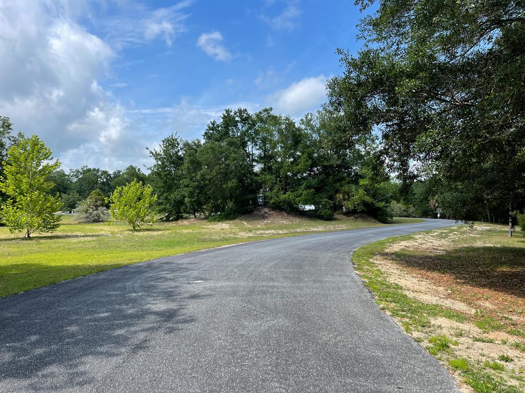 192 River Chase Road Apalachicola, FL 32320 - Photo 10 of 11
