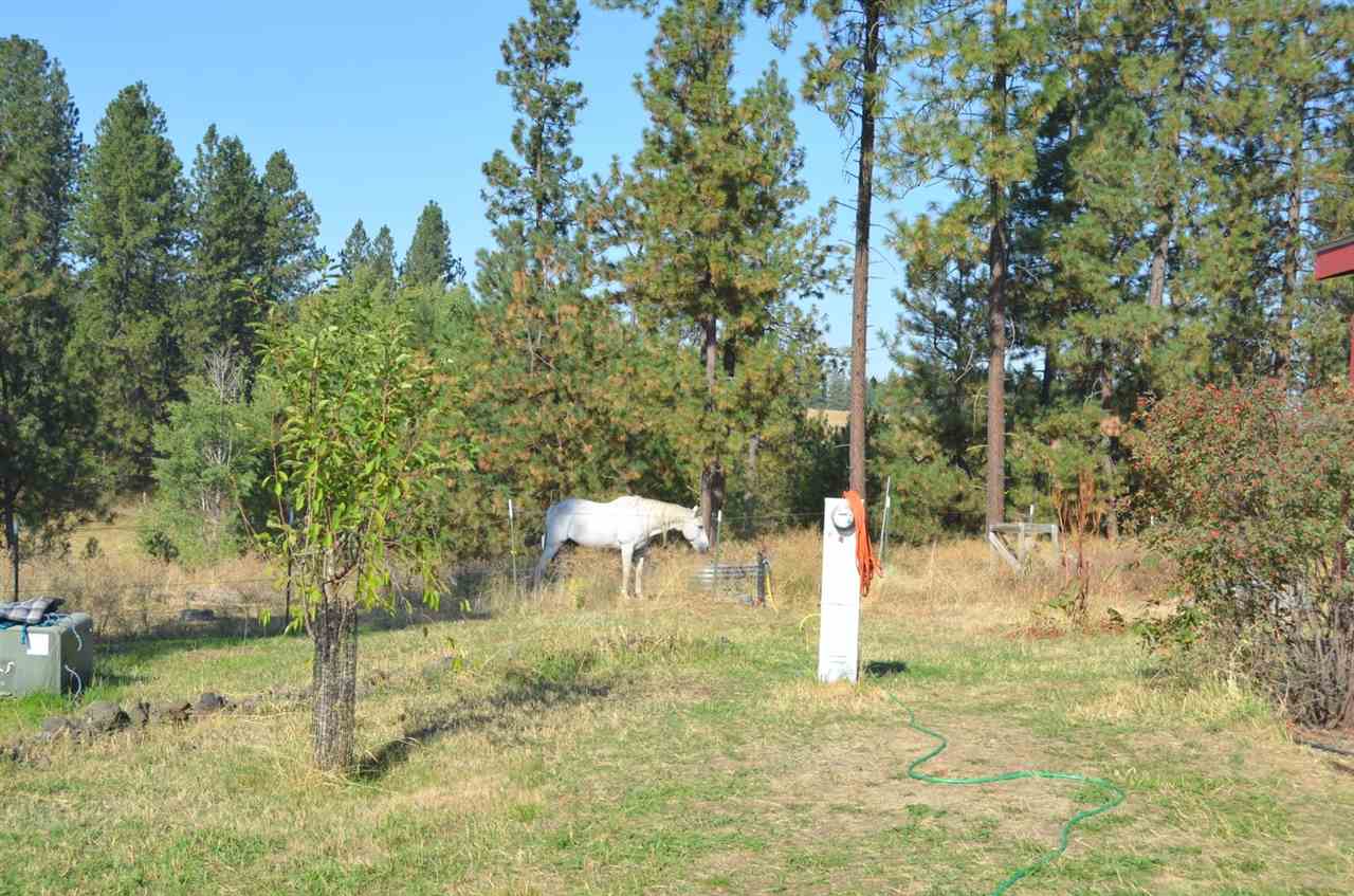 10112 South Soda Road Cheney, WA 99004 - Photo 3 of 20