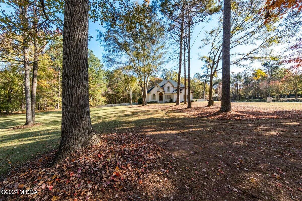 7701 Whittle Road Macon, GA 31220 - Photo 2 of 56 a view of road with large trees