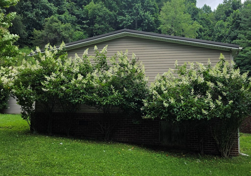 5859 Pounding Mill Branch Road Pounding Mill, VA 24637 - Photo 6 of 29 Gallery Image 6