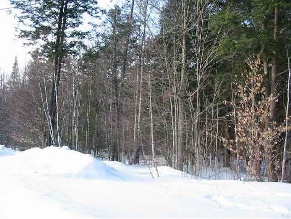 19 High Meadows Road Burke, VT 05832 - Photo 1 of 1 Gallery Image 1