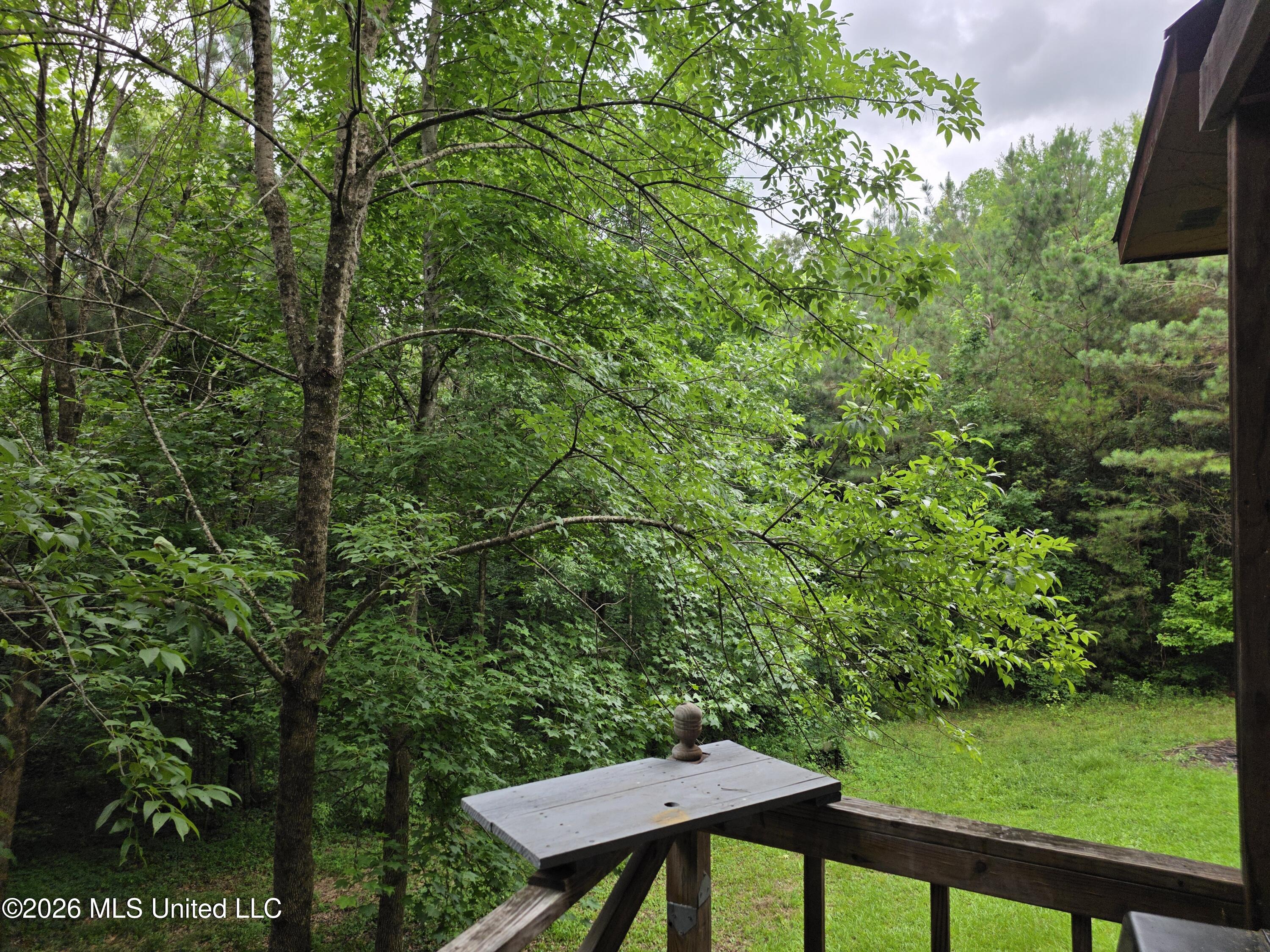 2025 Hendrix Road Coffeeville, MS 38922 - Photo 22 of 27 back porch