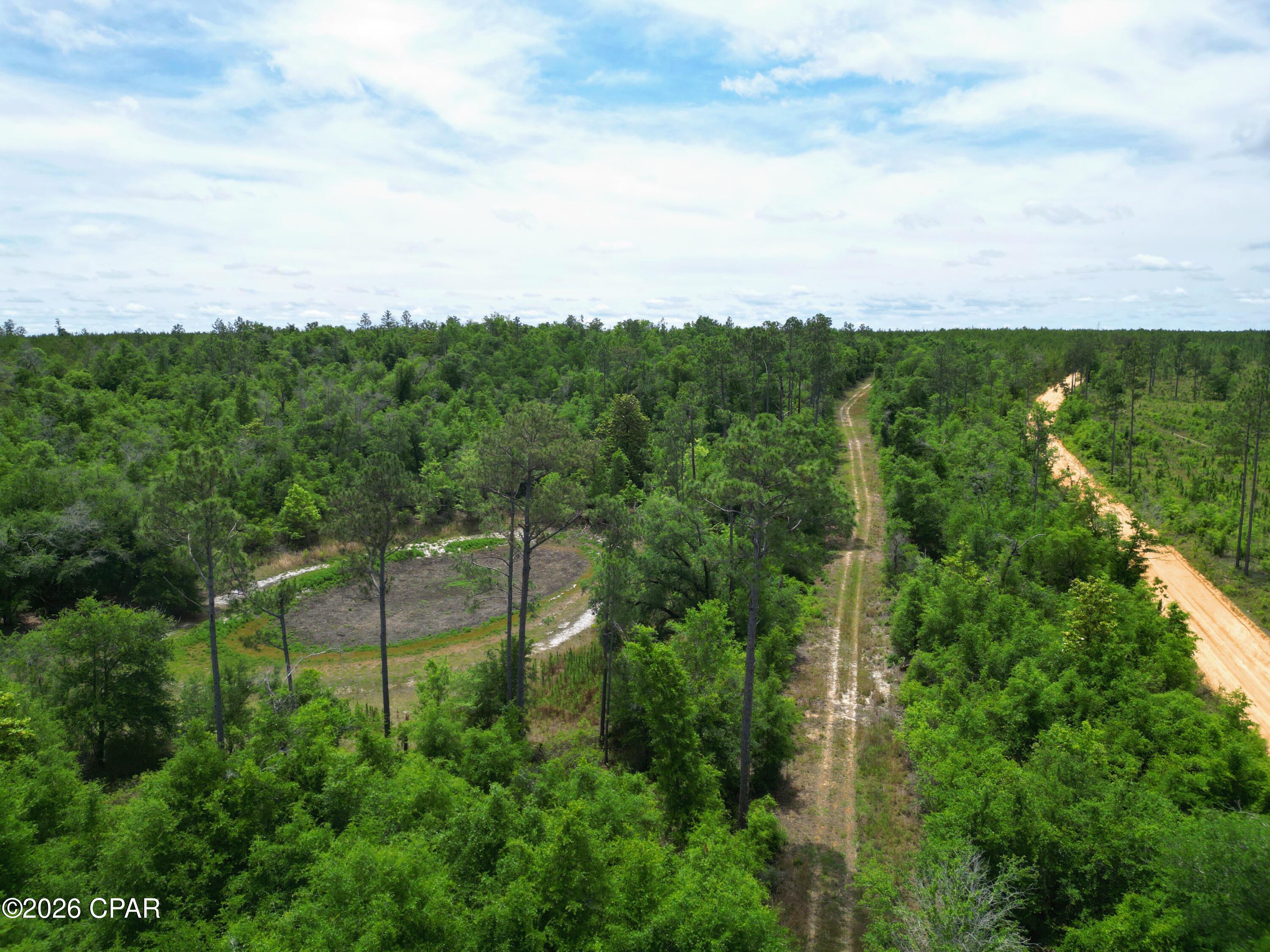 Tbd Pittman Hill Road Marianna, FL 32448 - Photo 2 of 8