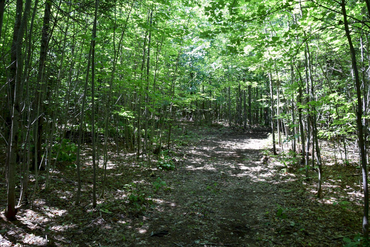 M7-l24-1 Mayhew Road Starks, ME 04911 - Photo 2 of 21 2