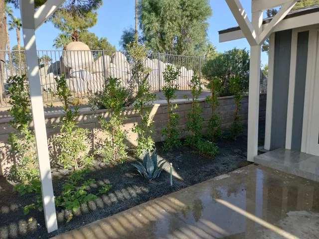 a view of a patio with couches table and chairs with potted plants