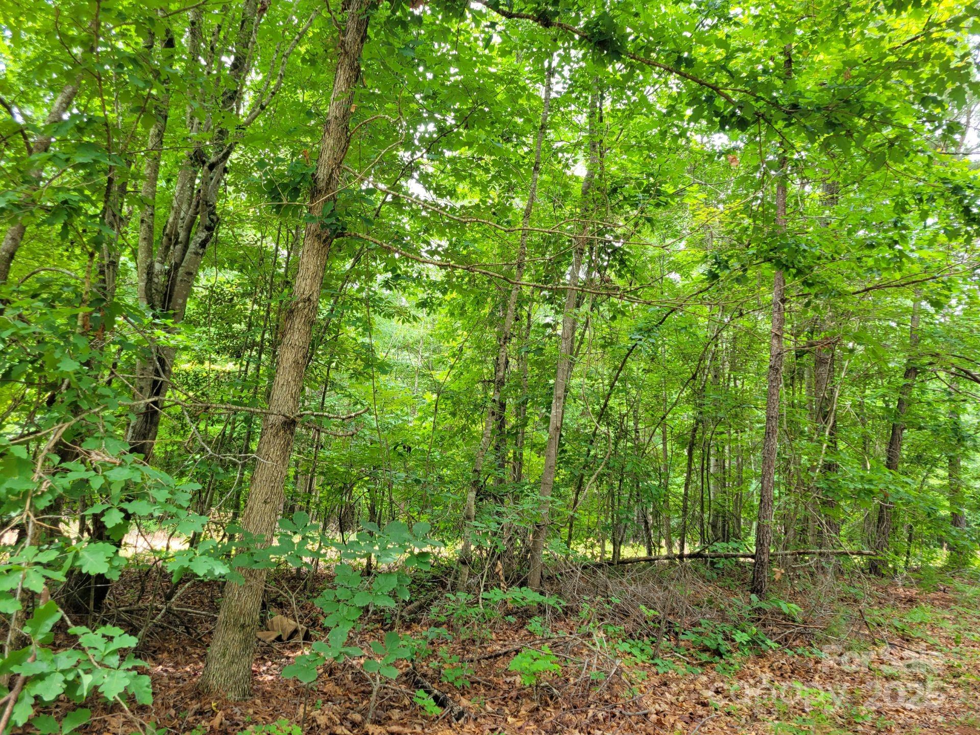 0 Dairy Road Troy, NC 27371 - Photo 1 of 3 Gallery Image 1