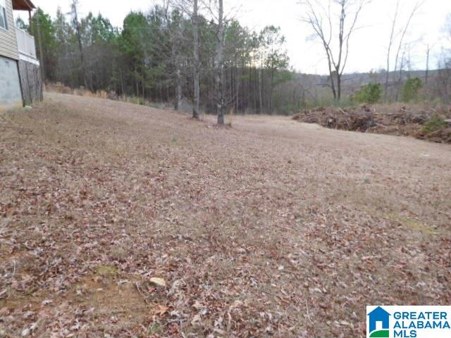 2681 Holly Hills Road Lincoln, AL 35096 - Photo 5 of 15
