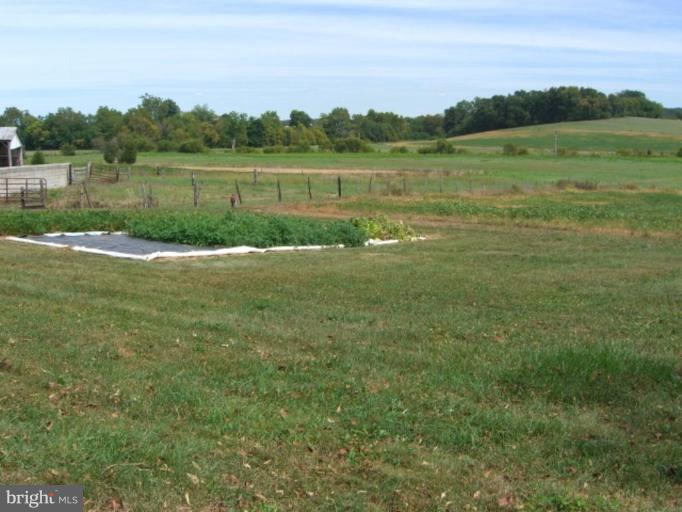 8901 Crum Road Walkersville, MD 21793 - Photo 8 of 17 vegetable garden