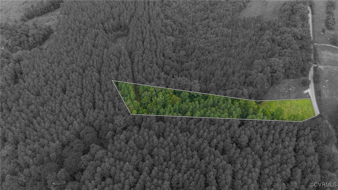 4419 Meherrin Road Meherrin, VA 23954 - Photo 3 of 11 a bird view