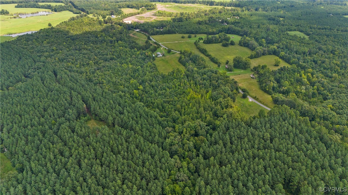 4419 Meherrin Road Meherrin, VA 23954 - Photo 5 of 11 a view of a lush green forest with lots of trees