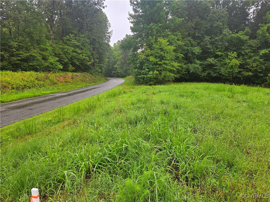 4419 Meherrin Road Meherrin, VA 23954 - Photo 7 of 11 a view of a yard with an trees