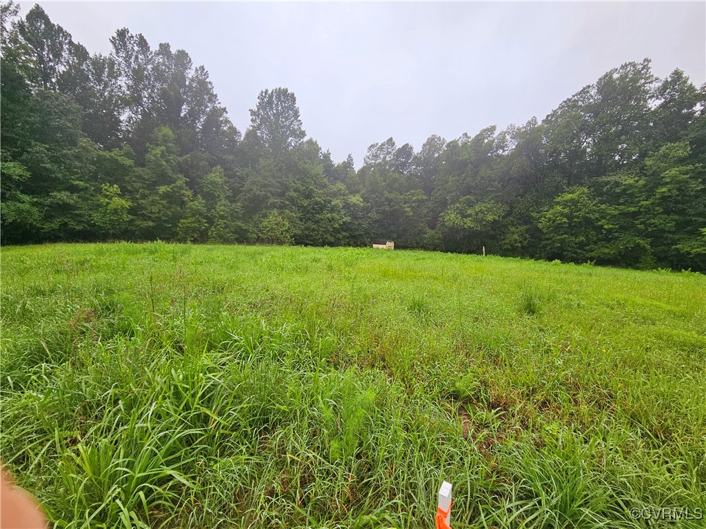 4419 Meherrin Road Meherrin, VA 23954 - Photo 8 of 11 a view of an outdoor space and a yard
