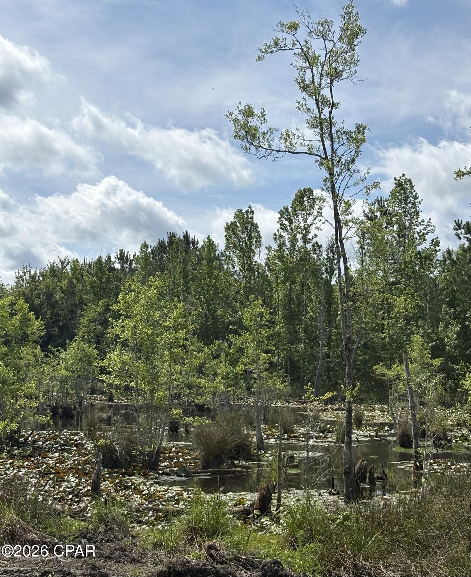 Xx Jj Whitaker Road Bonifay, FL 32425 - Photo 1 of 11
