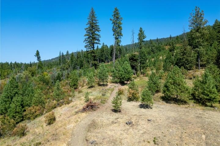 1921 Old CC Road Addy, WA 99101 - Photo 28 of 50
