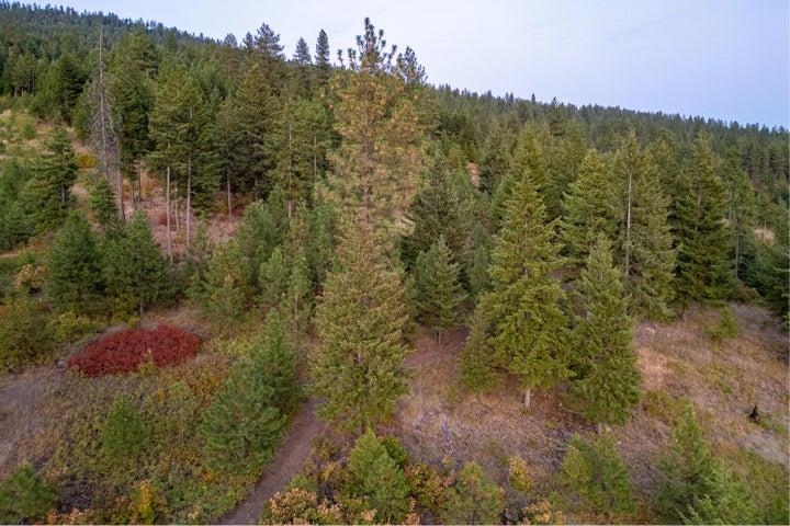 1921 Old CC Road Addy, WA 99101 - Photo 41 of 50