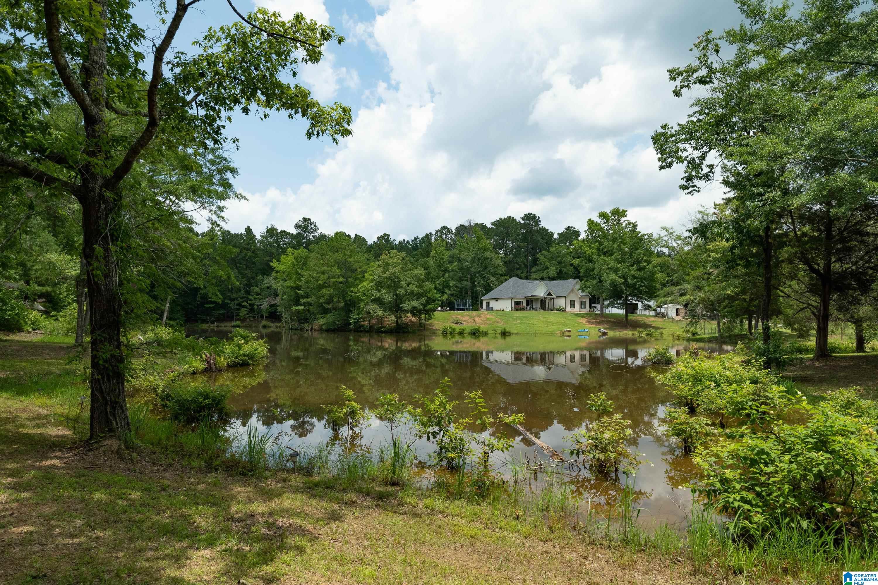 340 Lake Cottage Road Sterrett, AL 35147 - Photo 59 of 83