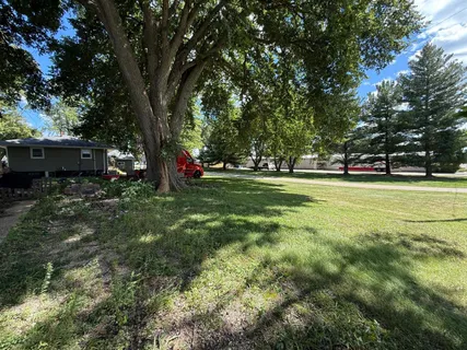 a view of a park with large trees