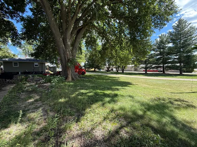 a view of a park with large trees
