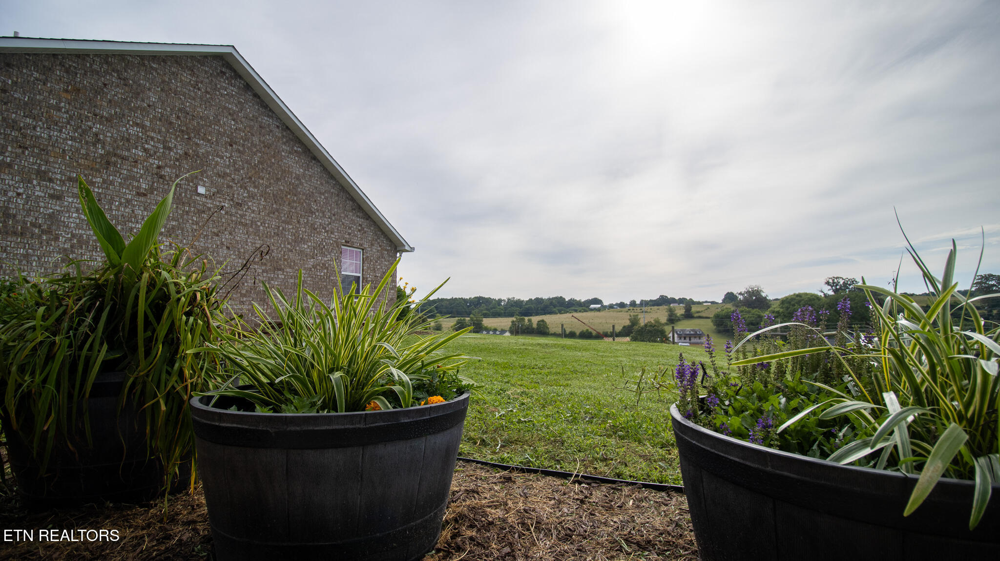 1171 Fate Rankin Road Jefferson City, TN 37760 - Photo 34 of 49 fate rankin - horton (50)