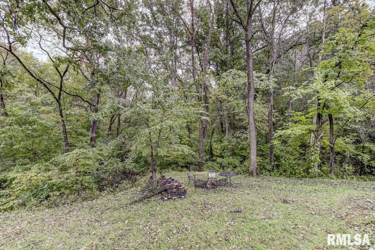 3008 Andy Road Springfield, IL 62702 - Photo 33 of 35
