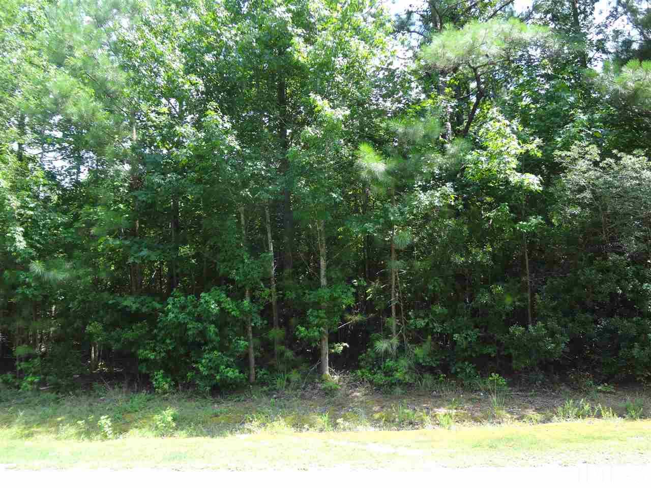 Lot 2 Harris Road Louisburg, NC 27549 - Photo 1 of 2 Gallery Image 1