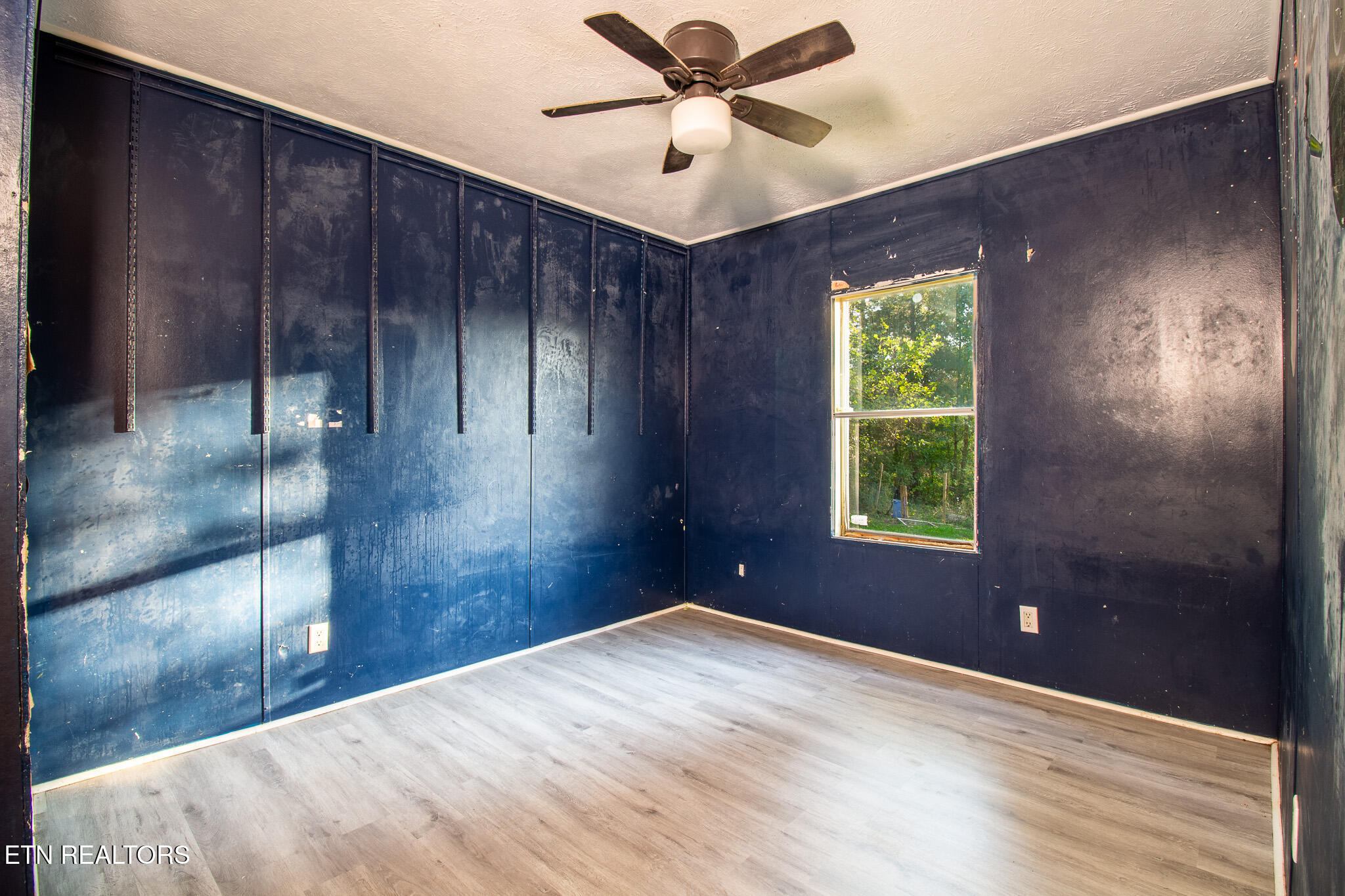 175 Collins Road Oliver Springs, TN 37840 - Photo 15 of 25 _MG_2700-HDR